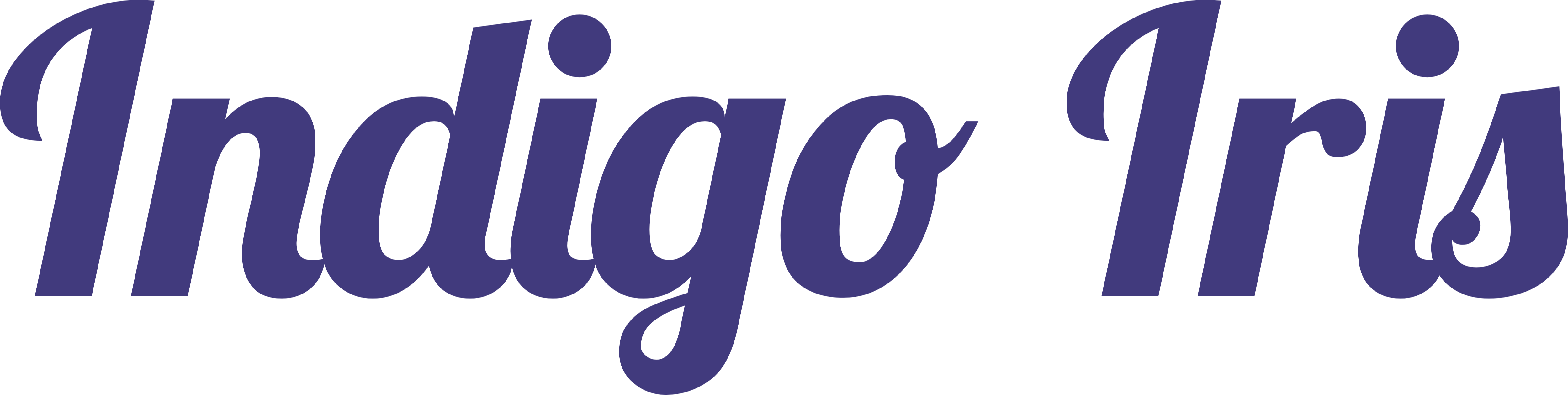 Indigo Iris HubSpot Consultancy & Training